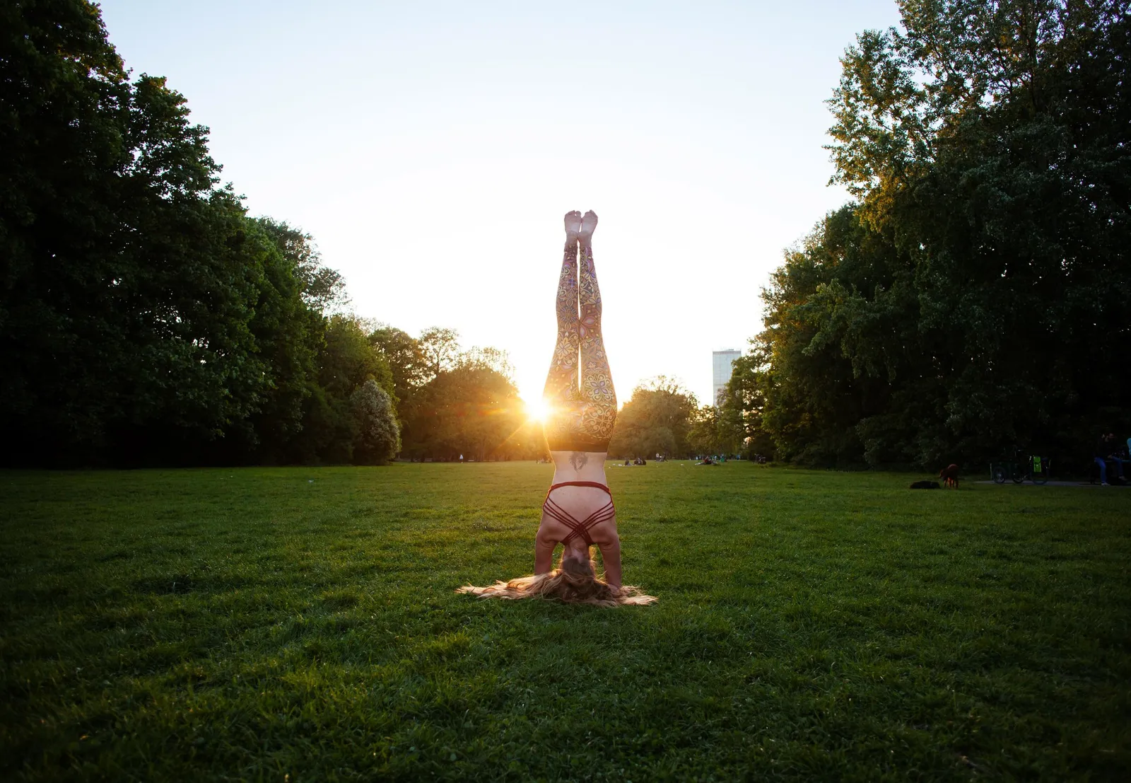 Leda Fay Yoga — yoga-studio i Berlin — 2