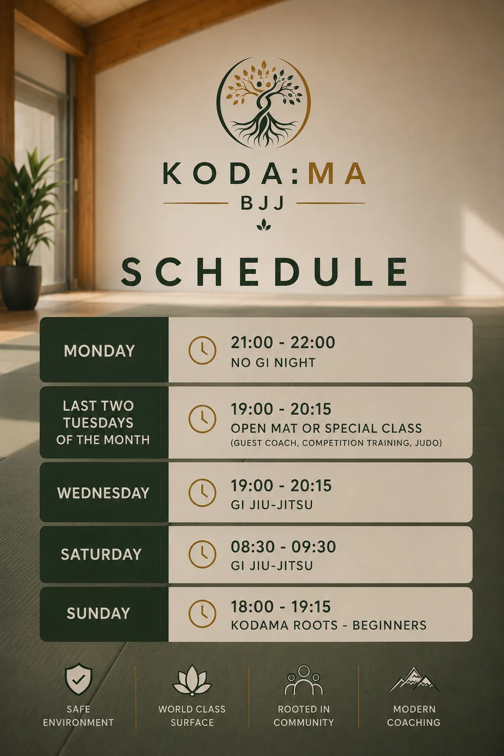 Kodama BJJ — bjj-studio in Worthing — 3