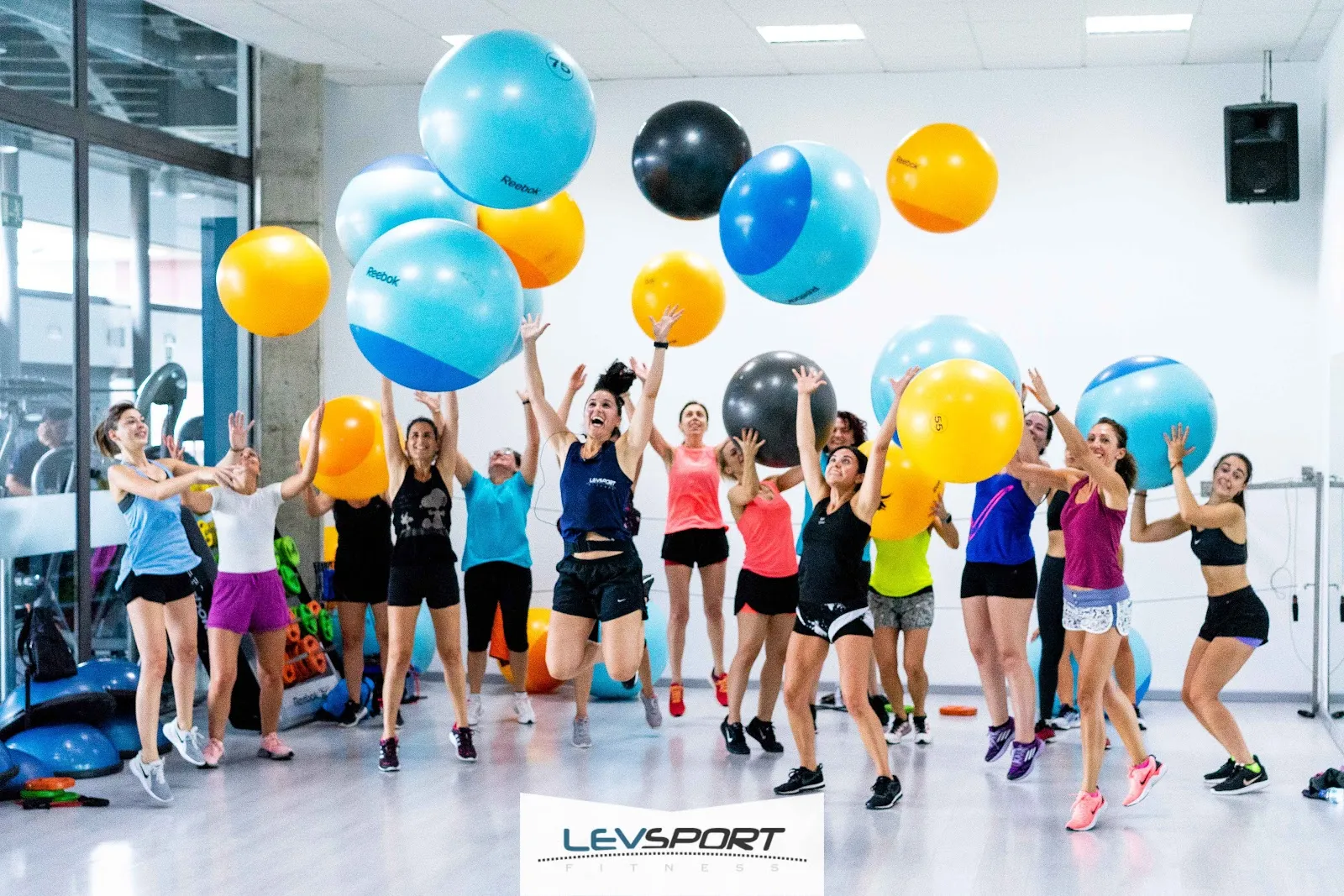 Gimnasio Altorreal — estudio de fitness-studio en Romeral — 3