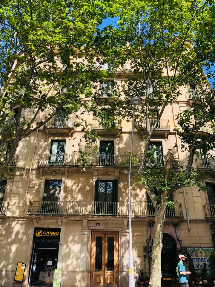 Osteo Wellness Studio — entrenamiento personal-studio en l'Eixample, Barcelona — 3