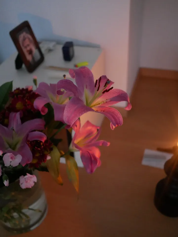 Centro Yoga ChandraSurya — yoga-studio a Rimini — 2