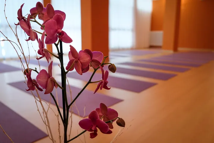 Centro Yoga ChandraSurya — yoga-studio a Rimini — 3