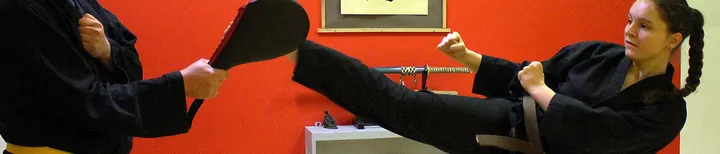 Shuri Ryu Berlin — Kampfsport in Reinickendorf, Berlin