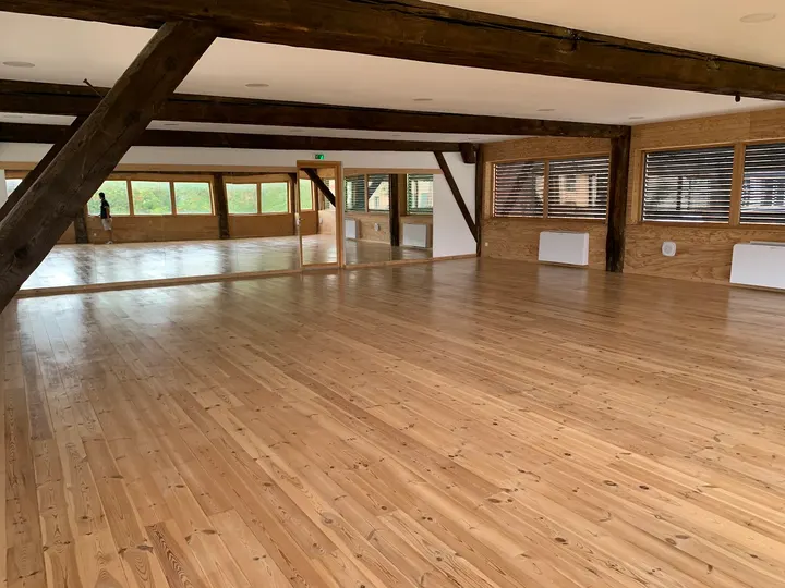 Espace Chorégraphique - ECHO — danse-studio à La Mulatière, Lyon — 3
