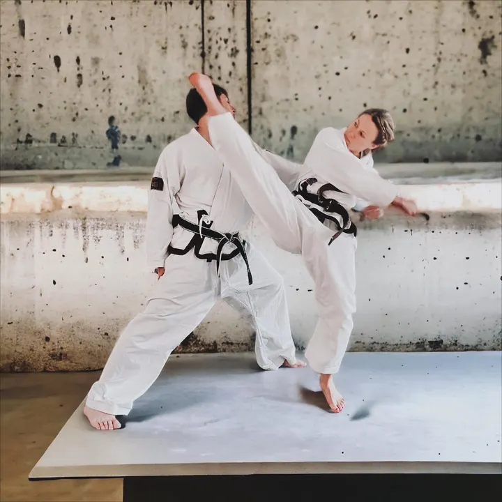 Taekwon-Do-Schule Garching e.V. — kampfsport-studio in Garching bei München, München — 3