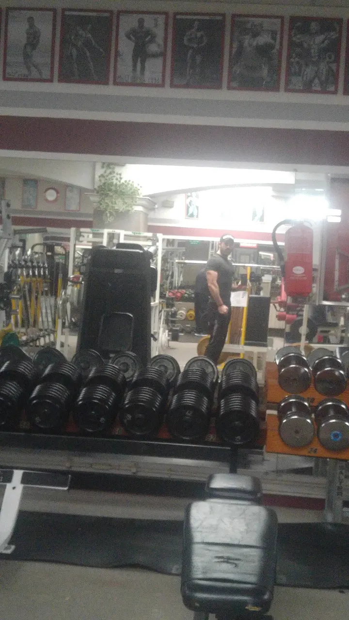 Olympia Gym — estudio de fitness-studio en Lovaina, Vitoria-Gasteiz — 3