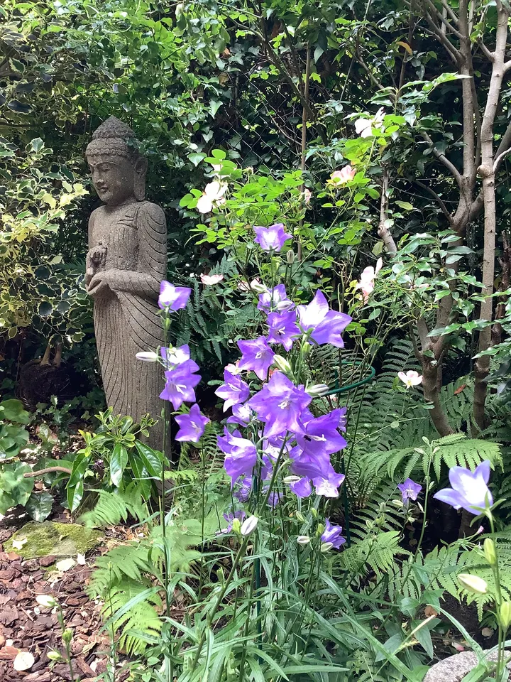 Frühlingsmond-Tempel /Shungetsu-ji Hannover — meditation-studio in Hannover — 3