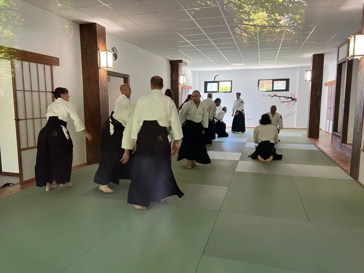 Aikido Kodokai Valladolid — artes marciales-studio en Valladolid — 3