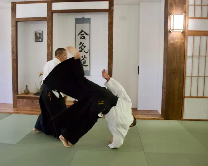 Aikido Kodokai Valladolid — artes marciales-studio en Valladolid — 5