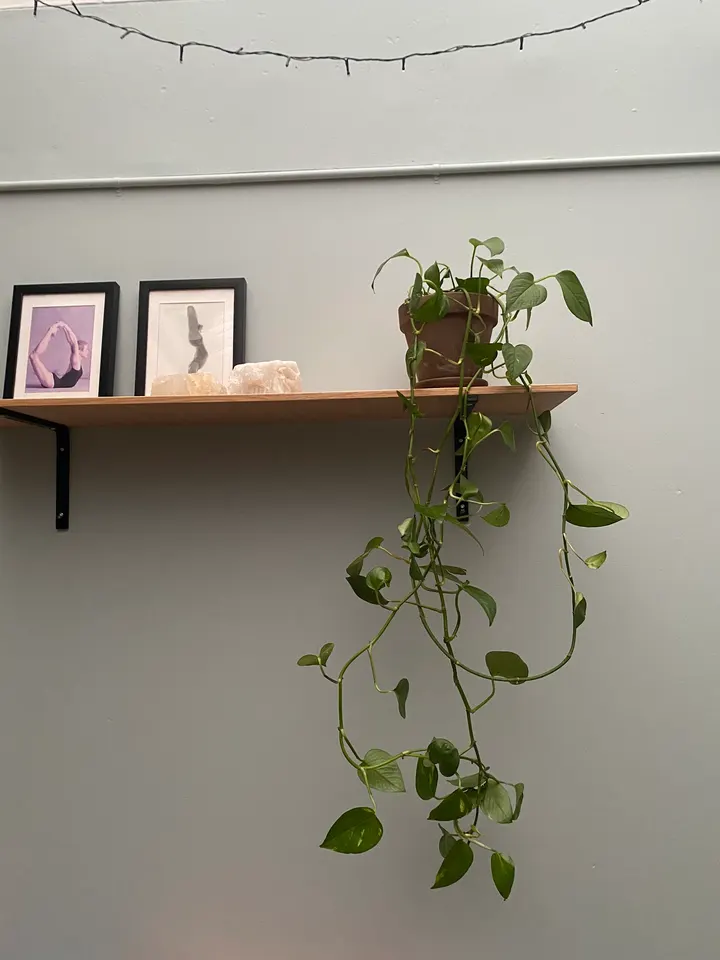Yoga with Rachel — yoga-studio i Kastrup, København — 3