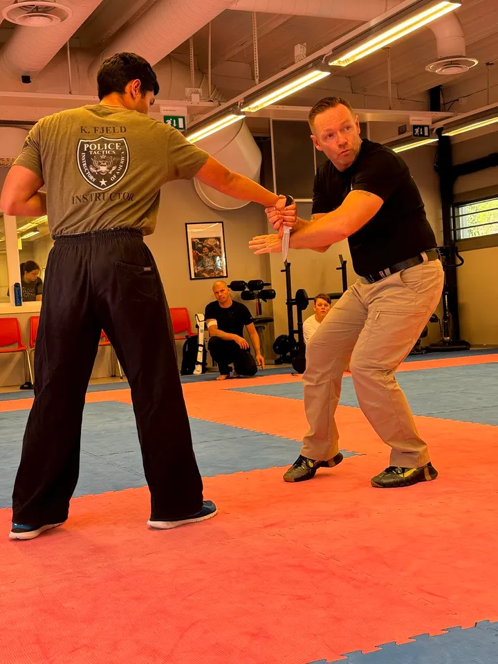 AESIR Academy by Kenneth Fjeld — kampsport-studio i Krokstadelva — 4