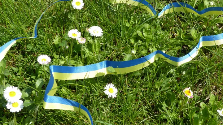 Folkdansringen Göteborg — dans-studio i Änggården, Göteborg — 2