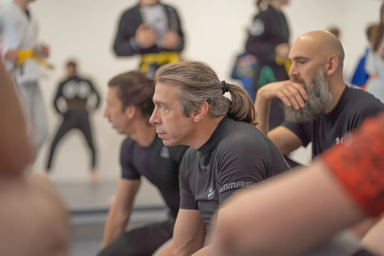 Helios Project Brazilian Jiu Jitsu — kampsport-studio i Köln — 6