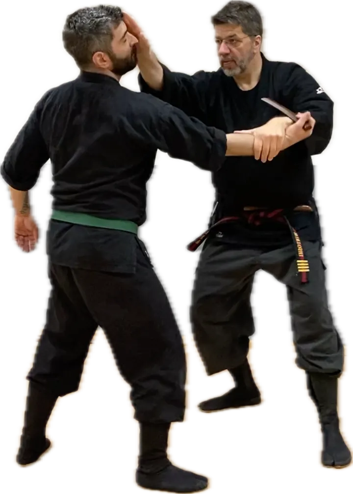 Shinden Dojo Osnabrück — Kampfsport in Hafen, Osnabrück