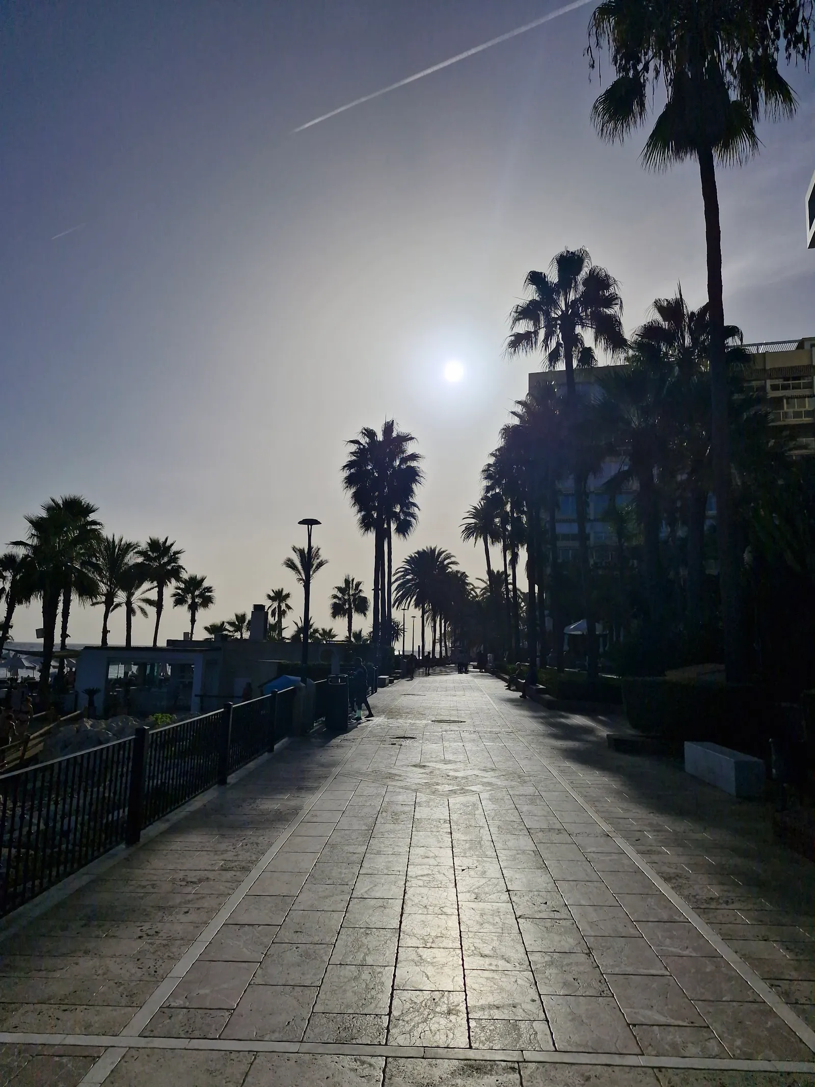 Marbella Workout — estudio de fitness-studio en Divina Pastora, Marbella — 2