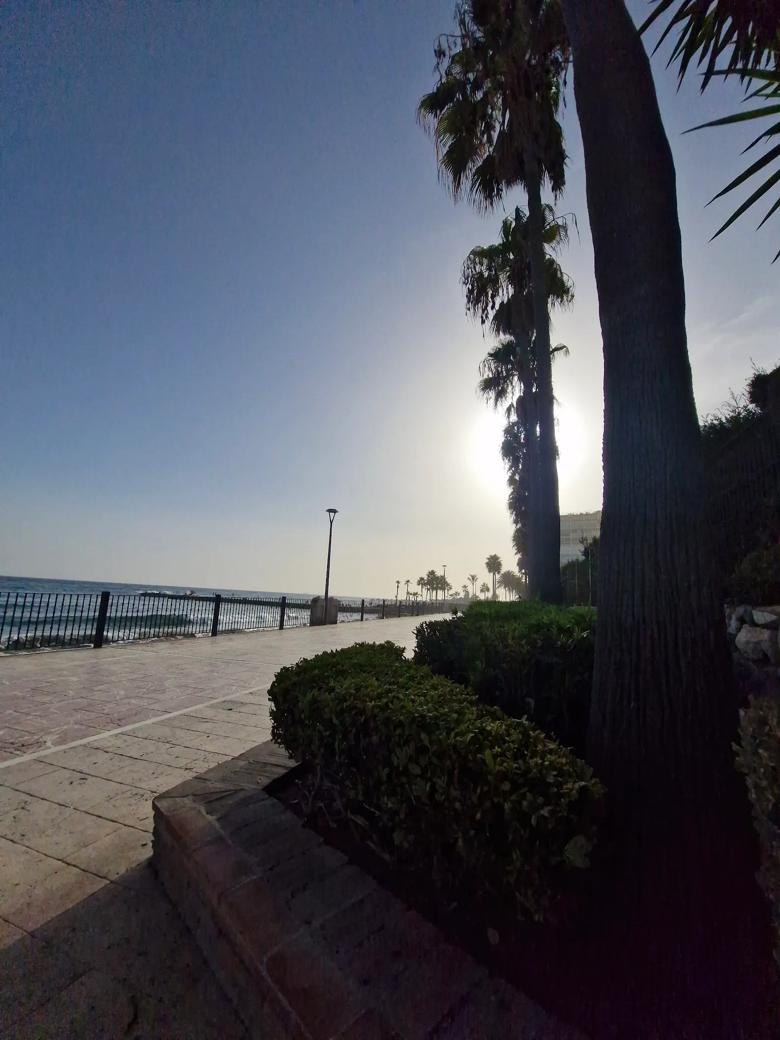 Marbella Workout — estudio de fitness-studio en Divina Pastora, Marbella — 3