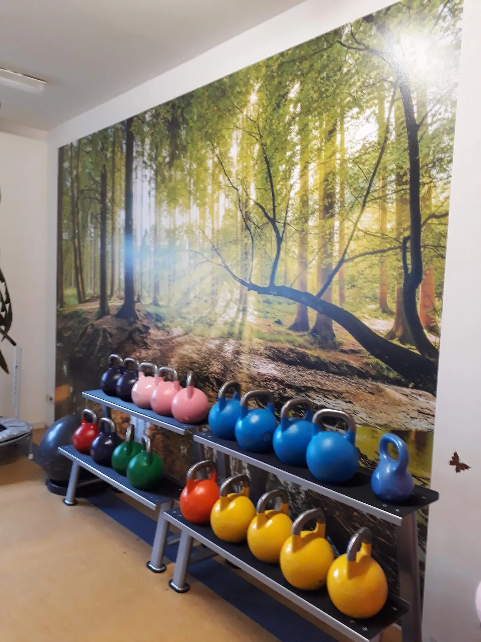 Gesundheitszentrum Dresden-Bühlau — fitnessstudio in Dresden — 2