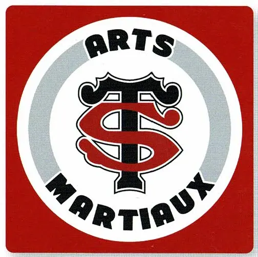Stade Toulousain-Arts Martiaux — arts martiaux-studio à Toulouse — 4