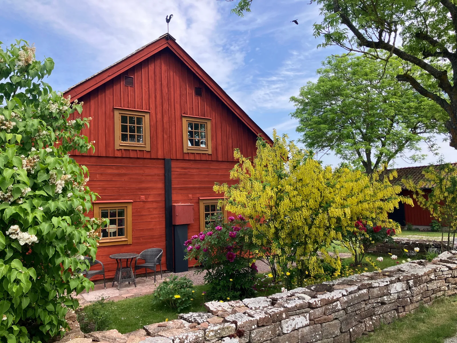 Rohana Träning För Henne — träningsstudio i Nybro — 2