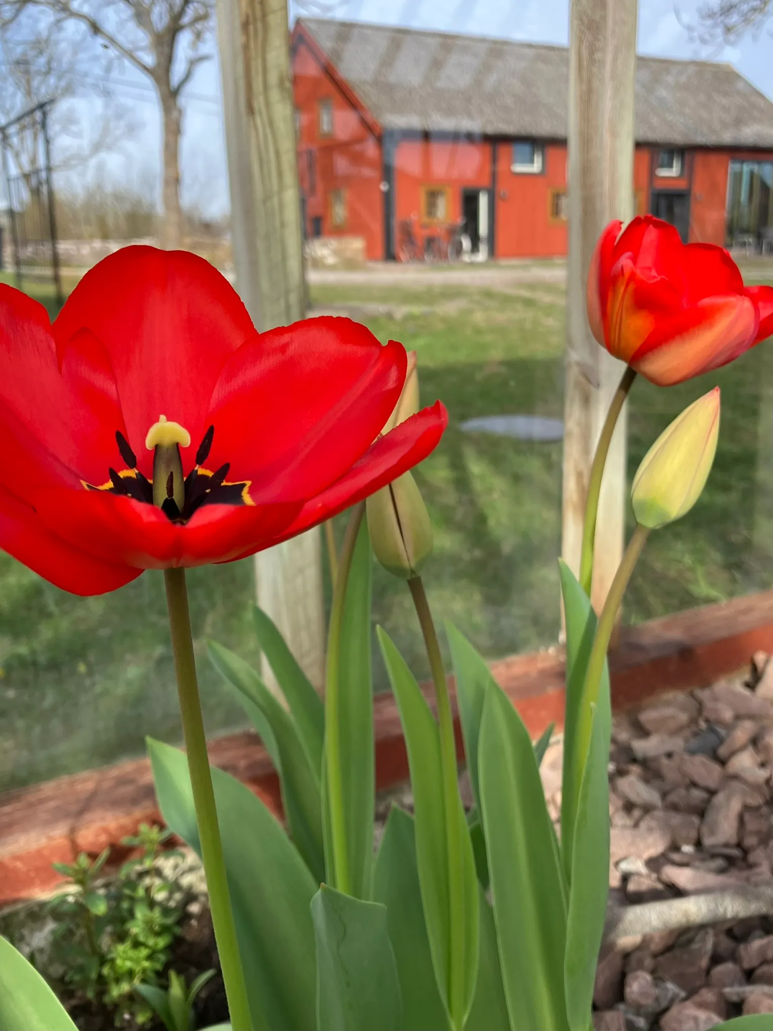 Rohana Träning För Henne — träningsstudio i Nybro — 3
