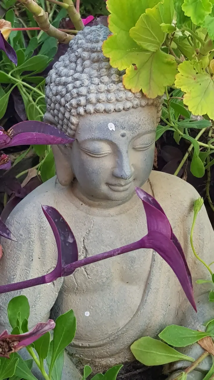Bewegt & Entspannt – Yoga, Yogareisen, Entspannung, Physiotherapie und Coaching in Bielefeld — yoga-studio in Bielefeld — 5