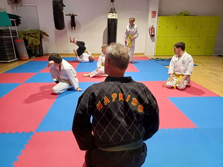 Taekhapdo Artes Marciales y musculacion — artes marciales-studio en Suroeste, Alcorcón — 2