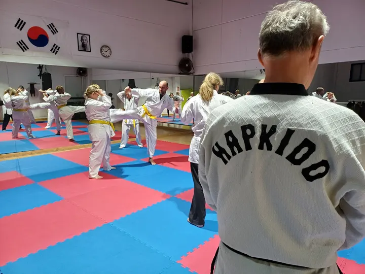 Taekhapdo Artes Marciales y musculacion — artes marciales-studio en Suroeste, Alcorcón — 3