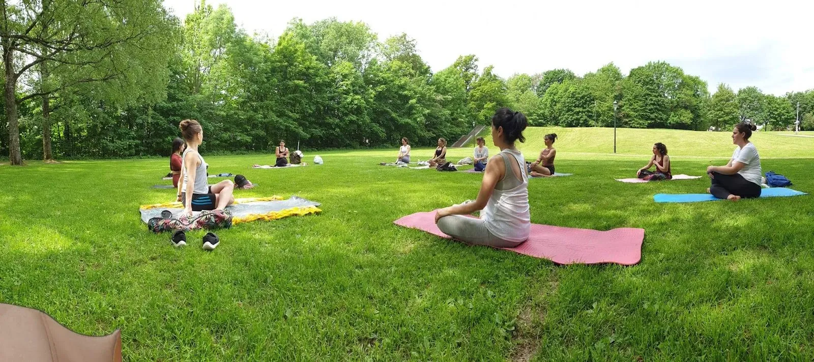 Natural Joy - Yoga Therapy — yoga-studio i Oslo — 4