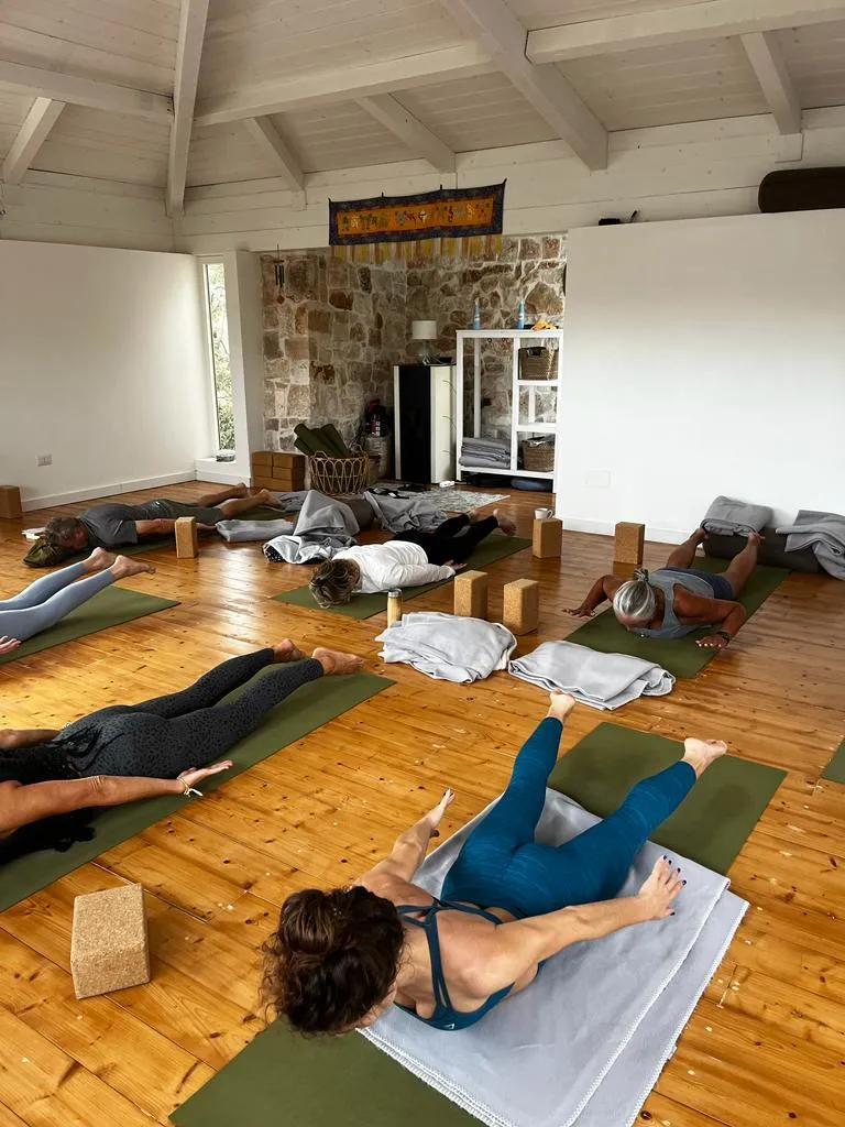 Natural Joy - Yoga Therapy — yoga-studio i Oslo — 5