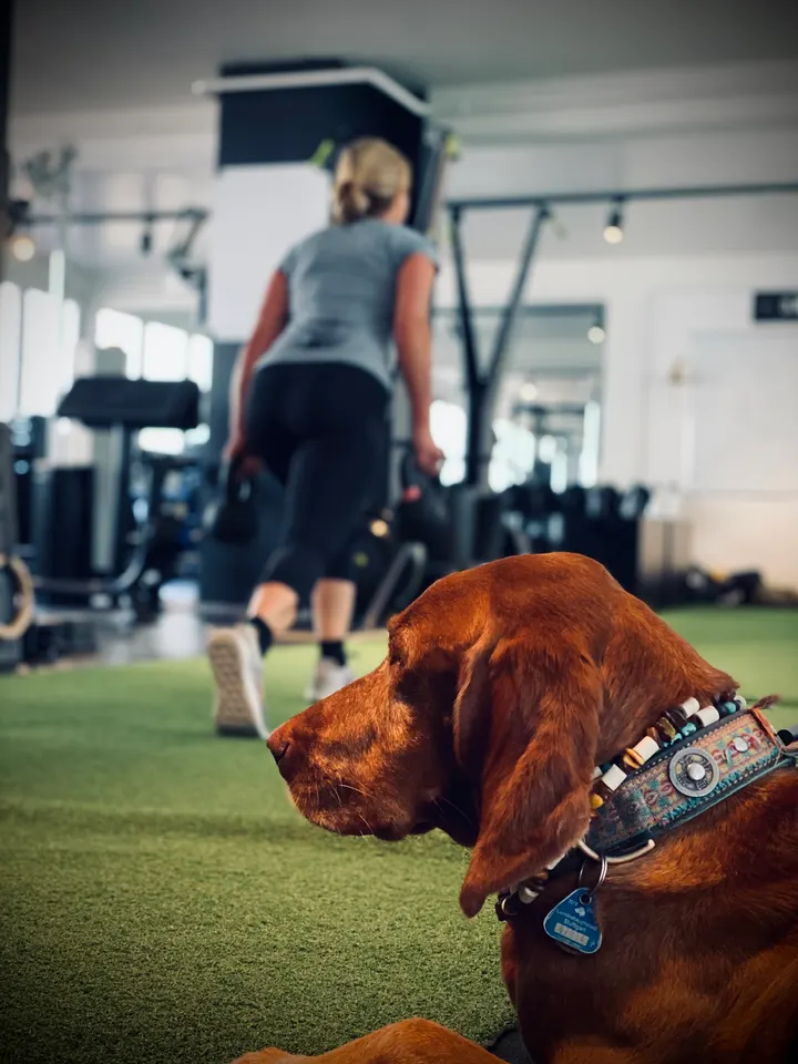 Coach Matzen Gym Heslach — Fitnessstudio in Heslach, Stuttgart