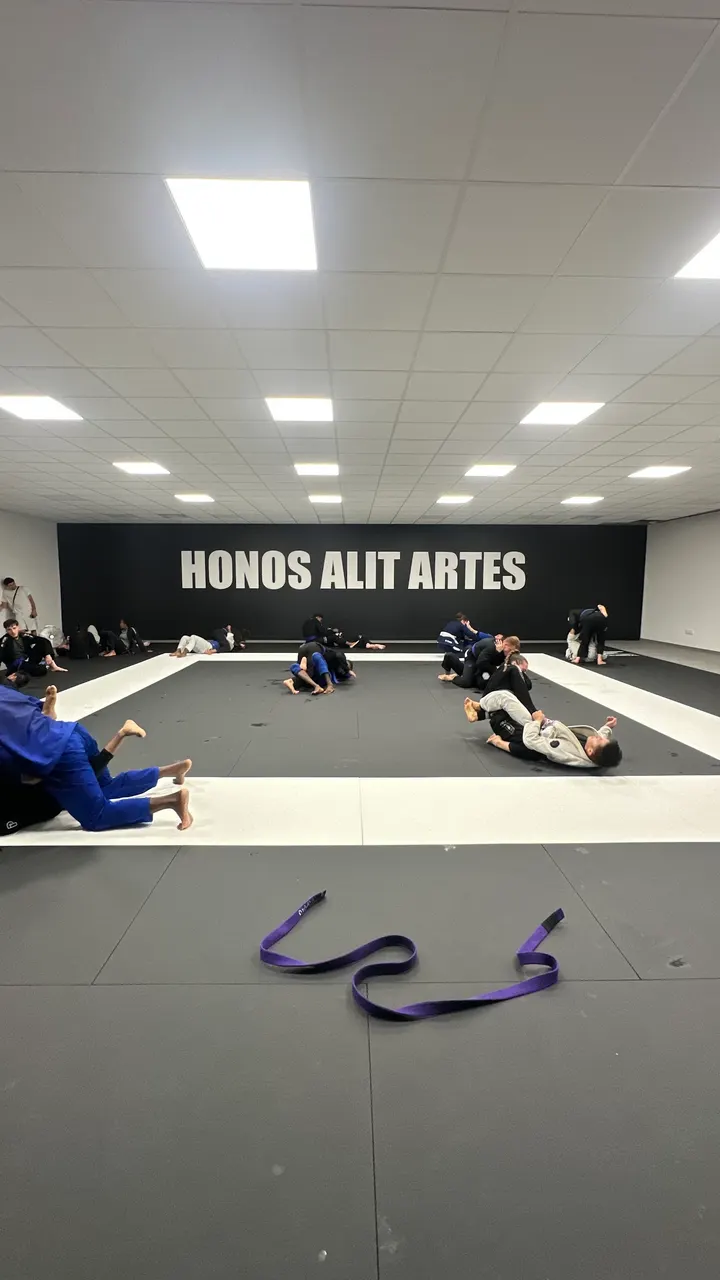 HONOS JJB — jjb-studio à Lyon — 5