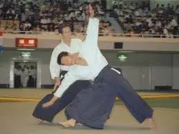 Kokoro Aikido Dojo Den Haag — vechtsport-studio in Haagse Hout, Den Haag — 2