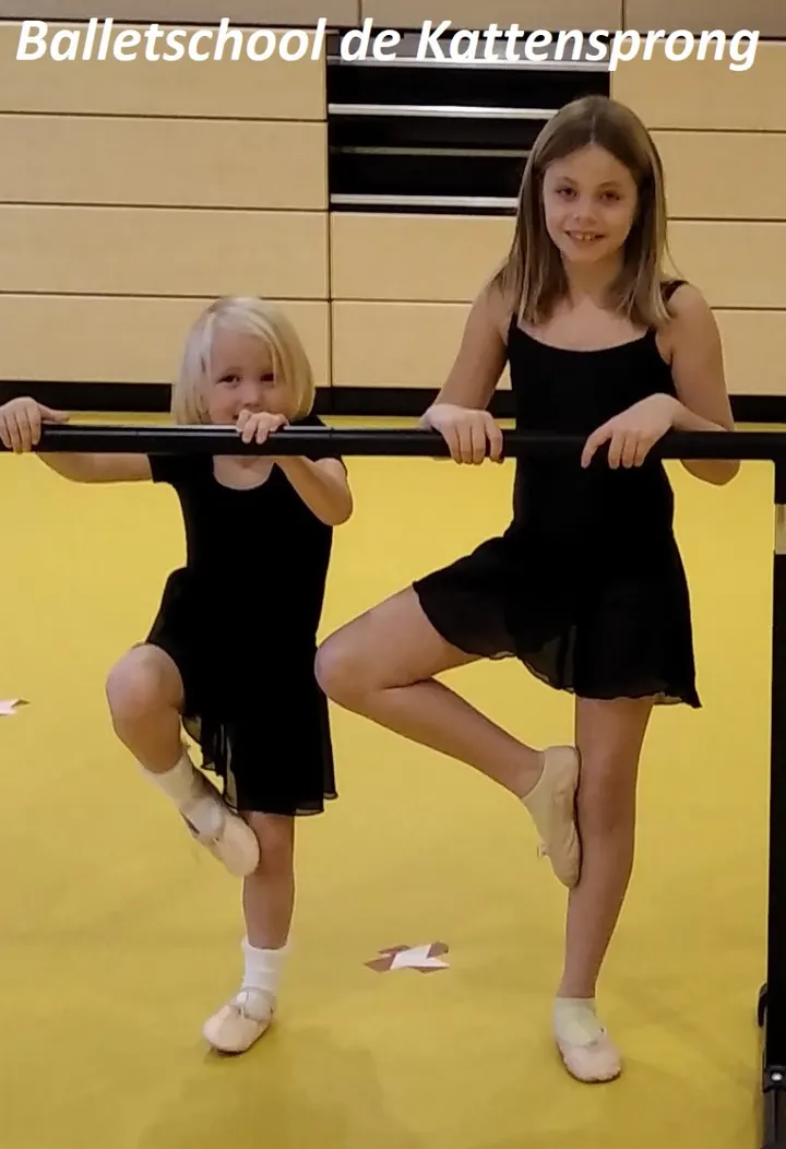 Balletschool de Kattensprong — dans-studio in De Kruiskamp, 's-Hertogenbosch — 2