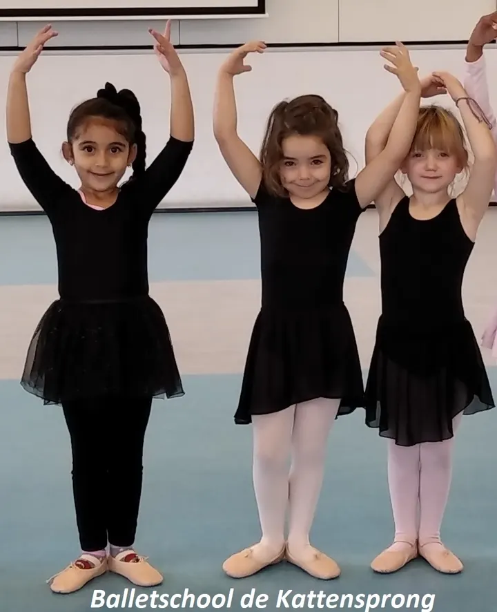 Balletschool de Kattensprong — dans-studio in De Kruiskamp, 's-Hertogenbosch — 3