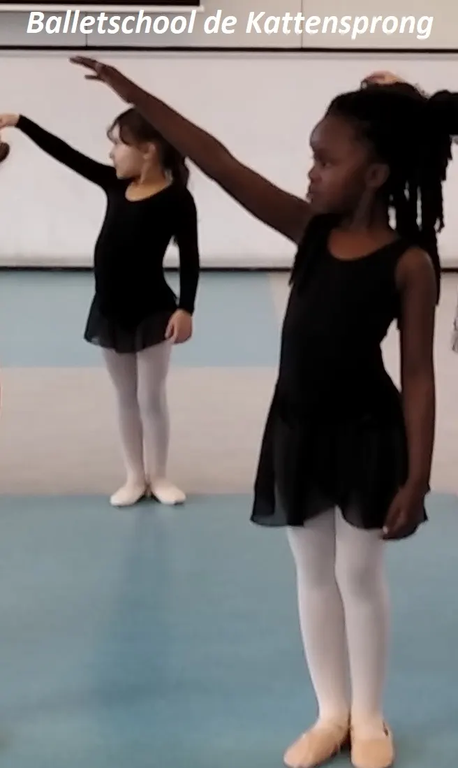 Balletschool de Kattensprong — dans-studio in 's-Hertogenbosch — 3