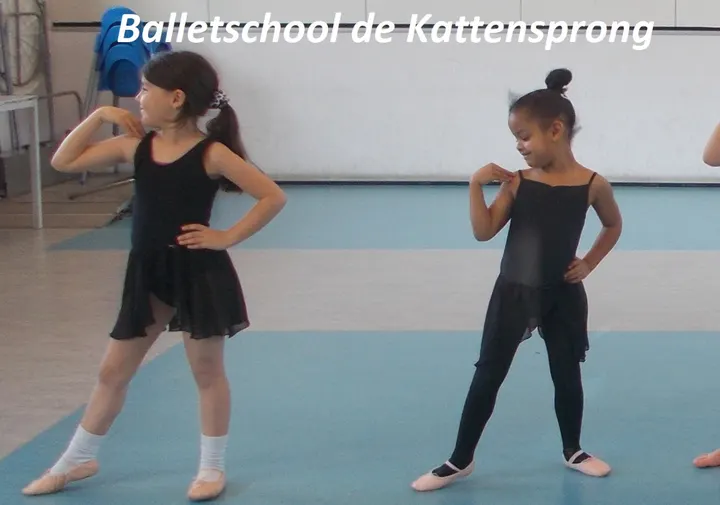 Balletschool de Kattensprong — dans-studio in 's-Hertogenbosch — 5