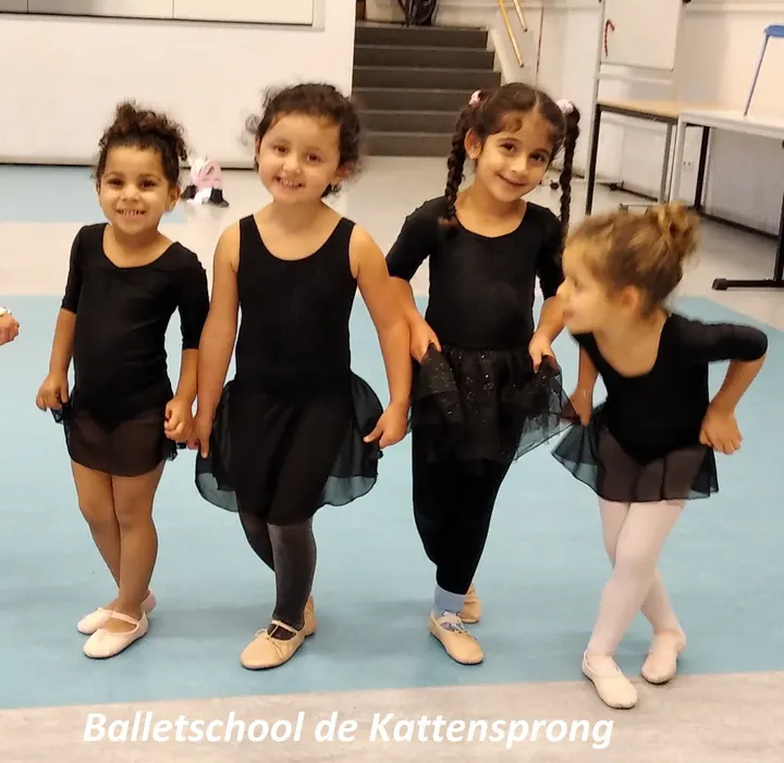 Balletschool de Kattensprong — dans-studio in 's-Hertogenbosch — 6