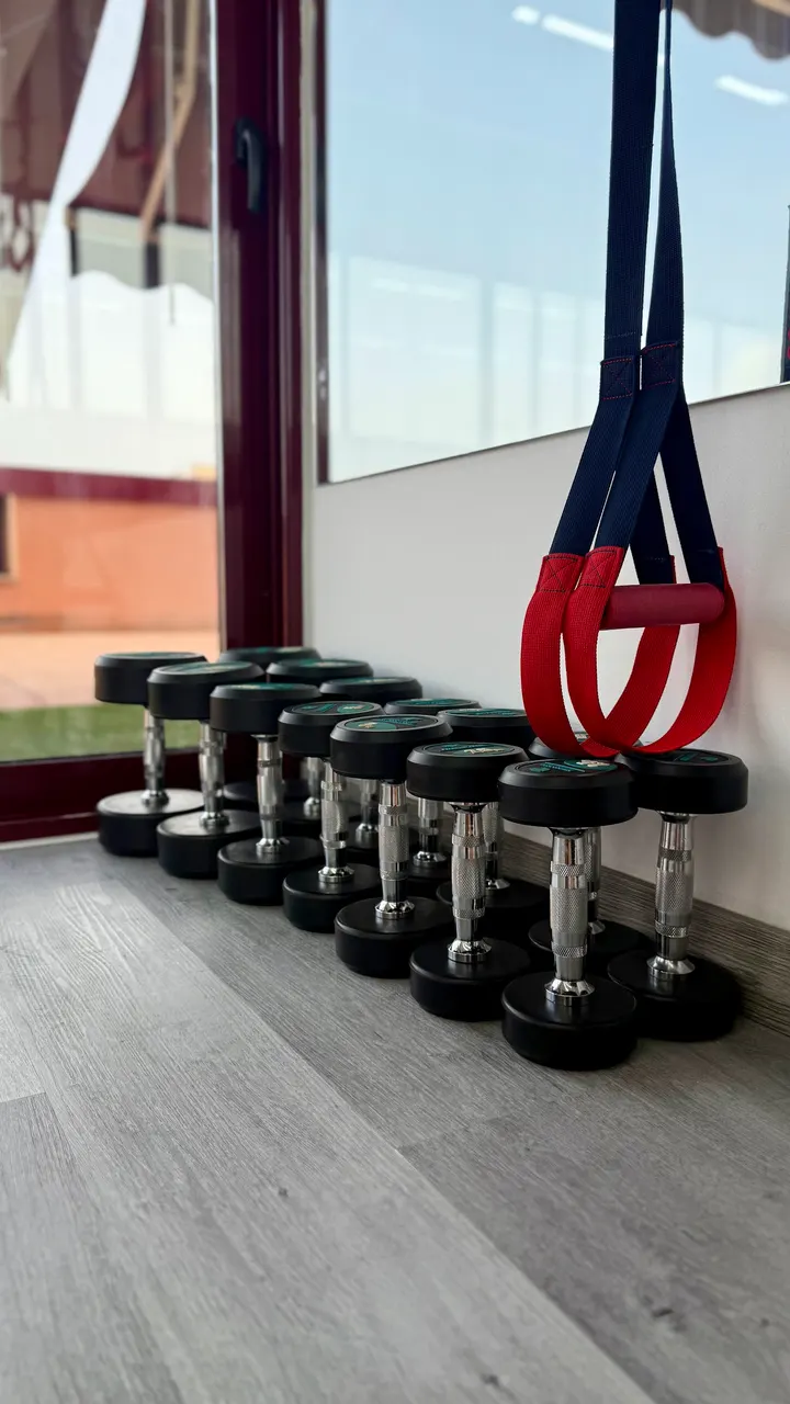 Estudio Pole dance & fitness — estudio de fitness-studio en Alicante — 3