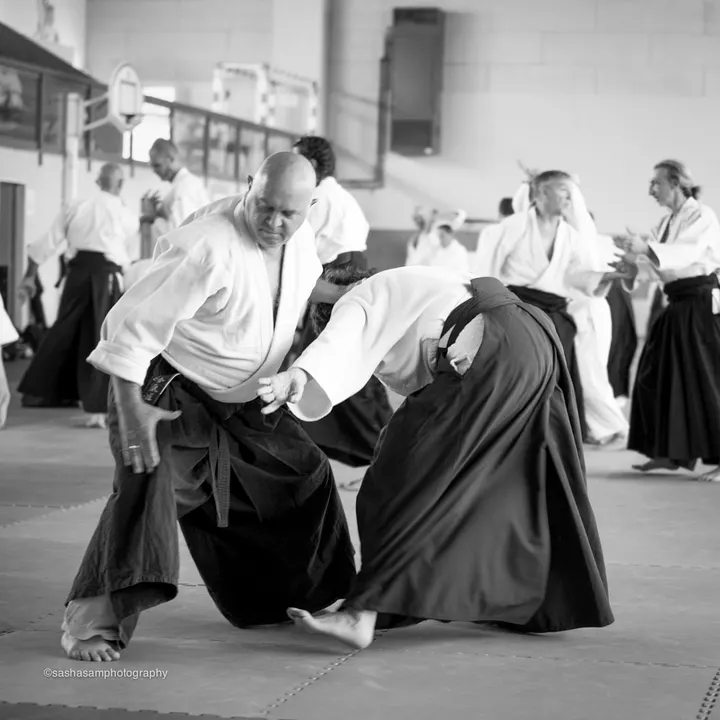 ASBTP AIKIDO GARE DU SUD — arts martiaux-studio à Carabacel, Nice — 2