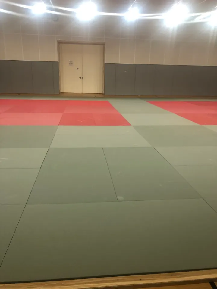 ASBTP AIKIDO GARE DU SUD — Arts martiaux à Carabacel, Nice
