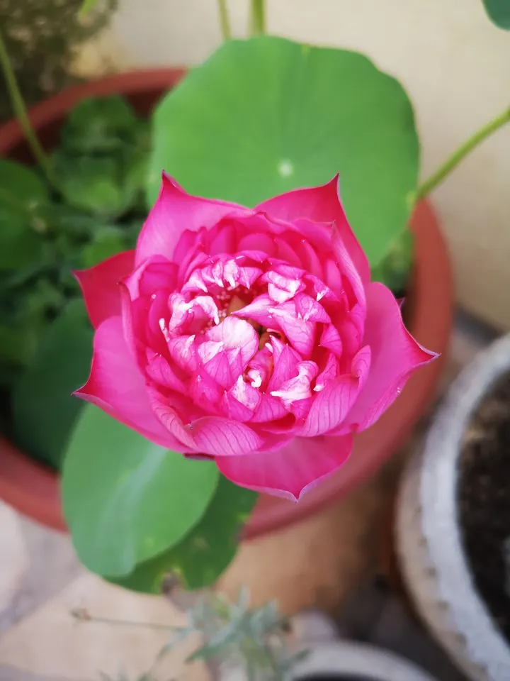 Audrey Yoga et Bien-être Toulon — yoga-studio à Toulon — 4
