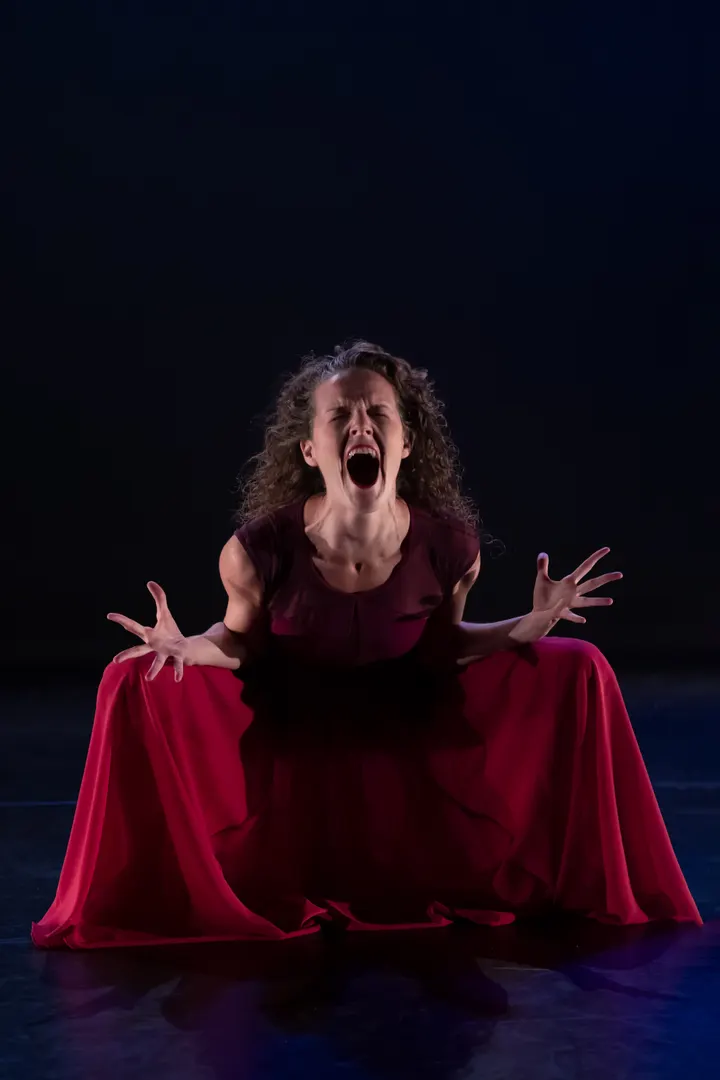 Dansstudio Felice Wilgenring — dans-studio in Hillegersberg-Schiebroek, Rotterdam — 2
