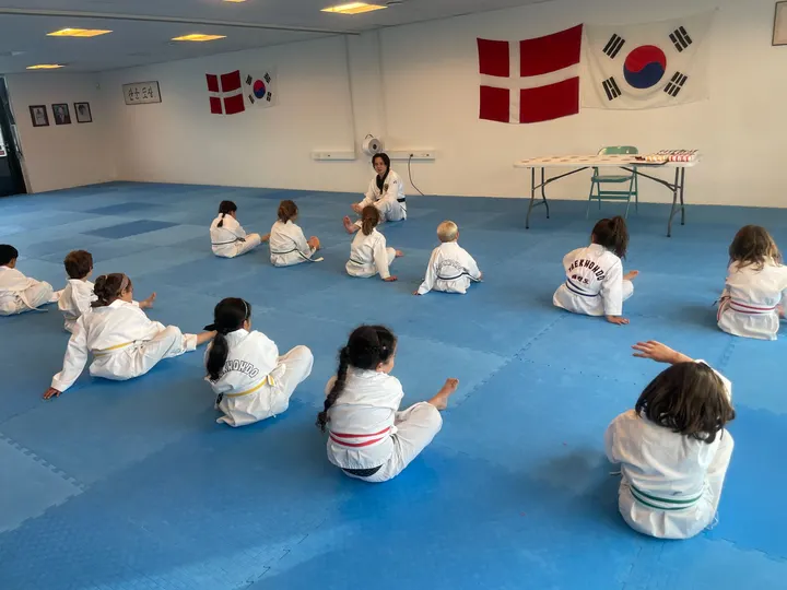 Tan Gun Sae Sim — kampsport-studio i Valby, Köpenhamn, København — 3