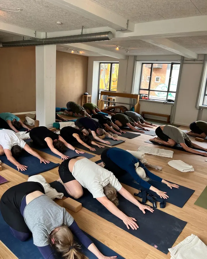 Yogaskolen ved Søerne I/S — yoga-studio i København N — 4