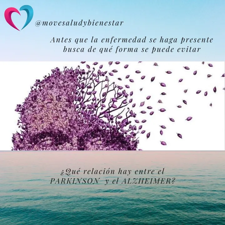 Move Salud y Bienestar — estudio de fitness-studio en Gijón — 5
