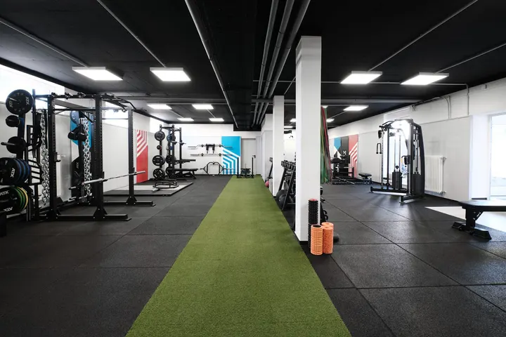 Fenris Coaching — pt-studio in Birkighöfe, Eppelheim — 3