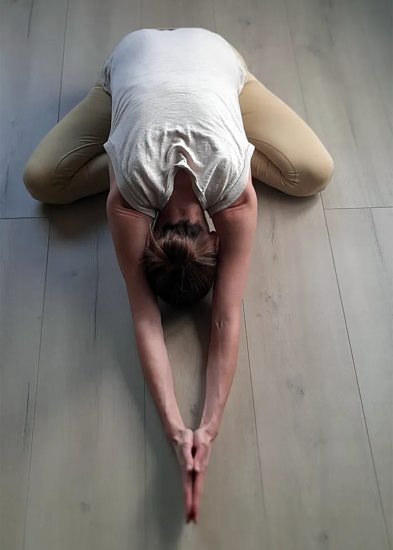 Udumbara | Centro de Yoga Integral — yoga-studio en Logroño — 3