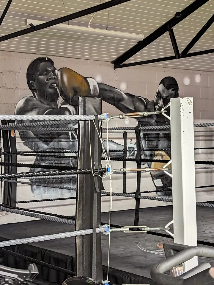 MLSS Community Hub (gym & boxing) — boxing-studio in Harden, Walsall — 3
