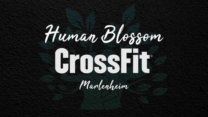 Human Blossom CrossFit Molsheim — crossfit-studio à Molsheim, Strasbourg — 2