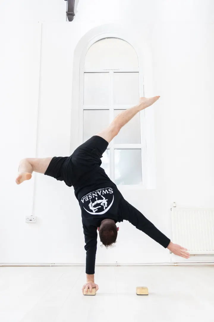 Swansea Pole & Aerial Academy — aerial-studio in Castle, Swansea — 3